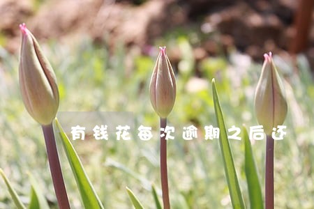 有钱花每次逾期之后还 有钱花每次逾期之后还