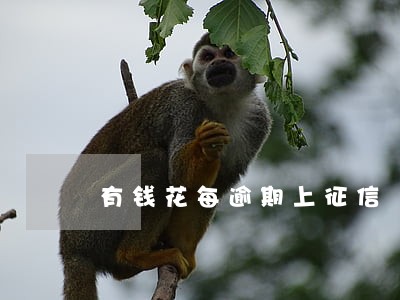 有钱花每逾期上征信 有钱花每逾期上征信