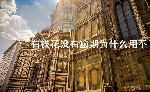 有钱花没有逾期为什么用不了