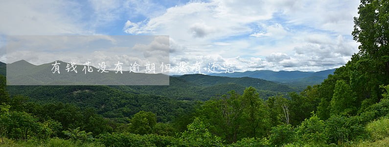 有钱花没有逾期但没有还完