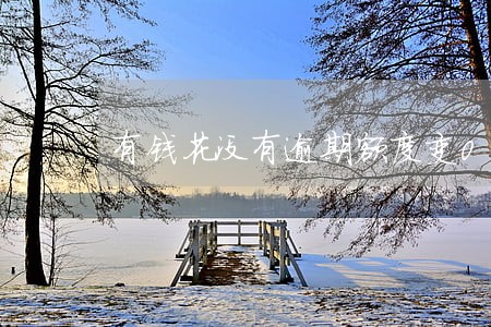 有钱花没有逾期额度变0