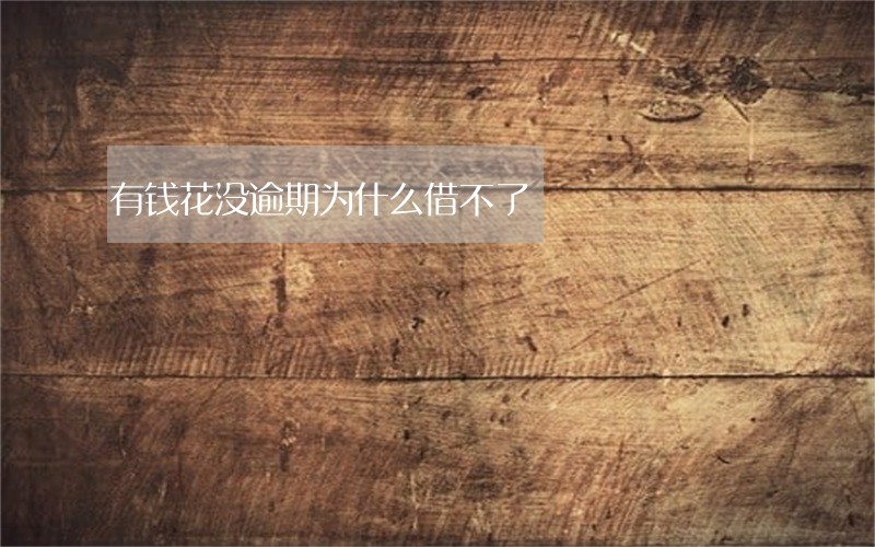 有钱花没逾期为什么借不了 有钱花没逾期为什么借不了