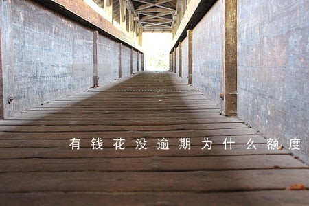 有钱花没逾期为什么额度被清零了 有钱花没逾期为什么额度被清零了