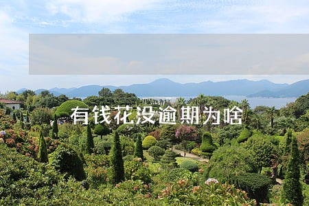 有钱花没逾期为啥 有钱花没逾期为啥