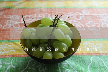 有钱花没逾期也打电话 有钱花没逾期也打电话