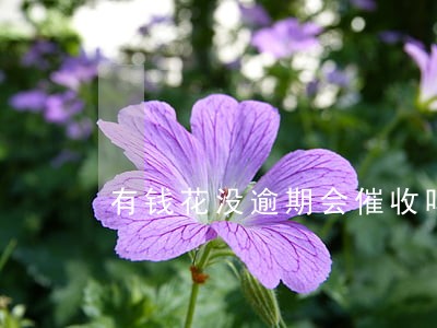 有钱花没逾期会催收吗 有钱花没逾期会催收吗