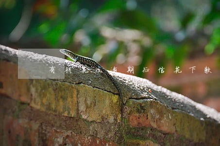 有钱花没逾期征信花下款吗 有钱花没逾期征信花下款吗