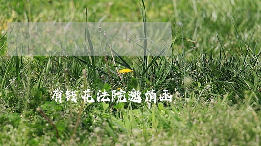 有钱花法院邀请函 有钱花法院邀请函