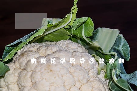 有钱花满易贷还款逾期 有钱花满易贷还款逾期