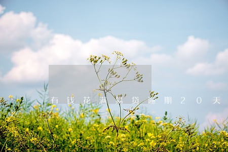 有钱花满易贷逾期20天 有钱花满易贷逾期20天