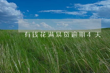 有钱花满易贷逾期4天 有钱花满易贷逾期4天
