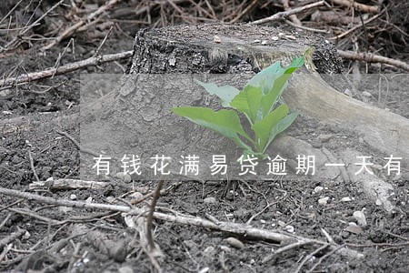 有钱花满易贷逾期一天有影响吗 有钱花满易贷逾期一天有影响吗