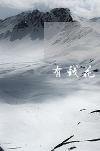 有钱花百信银行逾期 有钱花百信银行逾期