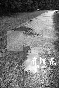 有钱花的逾期有什么后果