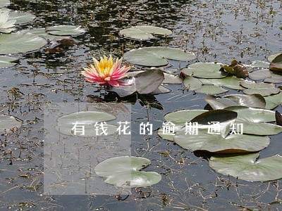 有钱花的逾期通知 有钱花的逾期通知