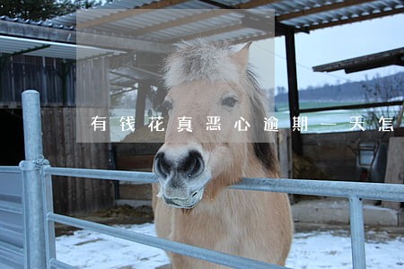 有钱花真恶心逾期一天怎么办 有钱花真恶心逾期一天怎么办