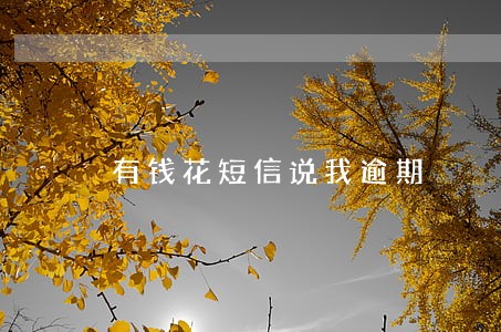 有钱花短信说我逾期 有钱花短信说我逾期
