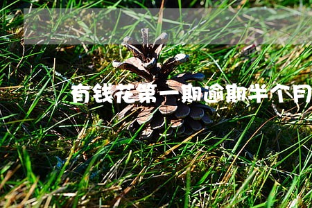 有钱花第一期逾期半个月 有钱花第一期逾期半个月