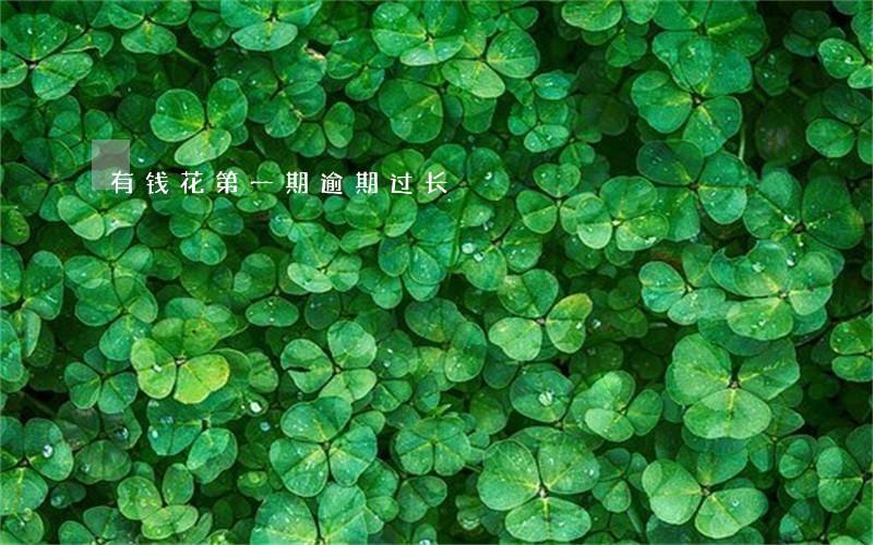 有钱花第一期逾期过长 有钱花第一期逾期过长