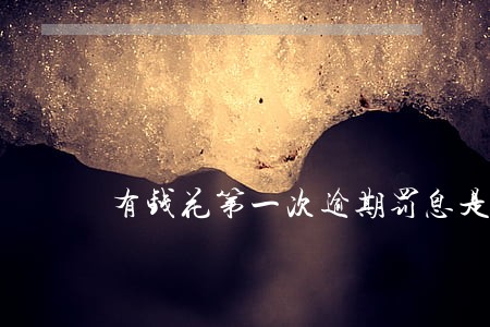 有钱花第一次逾期罚息是多少 有钱花第一次逾期罚息是多少