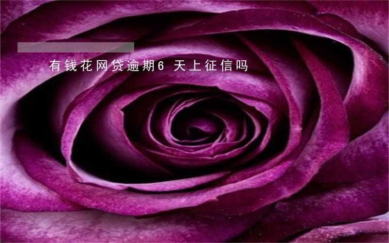 有钱花网贷逾期6天上征信吗 有钱花网贷逾期6天上征信吗