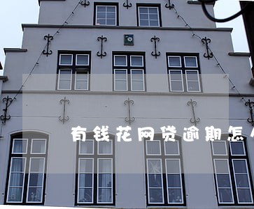 有钱花网贷逾期怎么办 有钱花网贷逾期怎么办