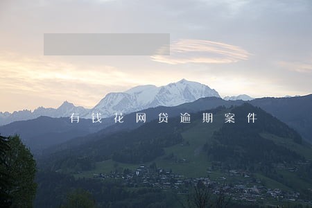 有钱花网贷逾期案件 有钱花网贷逾期案件