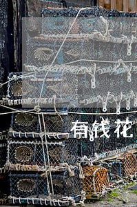 有钱花要求逾期还款吗 有钱花要求逾期还款吗