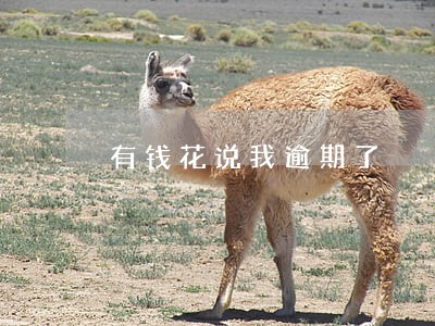 有钱花说我逾期了 有钱花说我逾期了