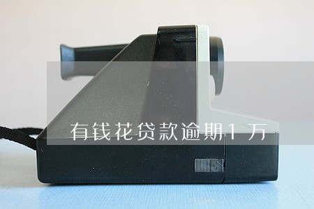 有钱花贷款逾期1万 有钱花贷款逾期1万