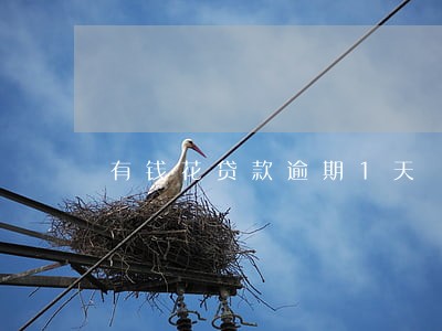 有钱花贷款逾期1天 有钱花贷款逾期1天