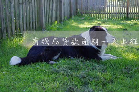 有钱花贷款逾期一天上征信吗 有钱花贷款逾期一天上征信吗