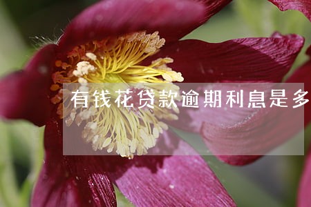 有钱花贷款逾期利息是多少 有钱花贷款逾期利息是多少