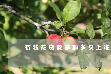 有钱花贷款逾期多久上征信 有钱花贷款逾期多久上征信