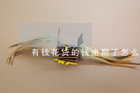 有钱花贷的钱逾期了怎么办 有钱花贷的钱逾期了怎么办