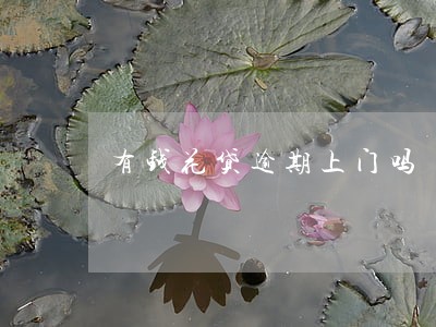 有钱花贷逾期上门吗 有钱花贷逾期上门吗