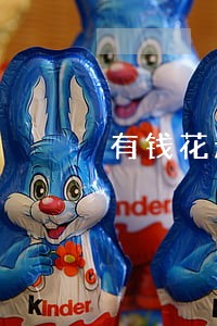 有钱花起诉会只还本金吗