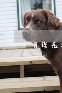 有钱花达内逾期 有钱花达内逾期