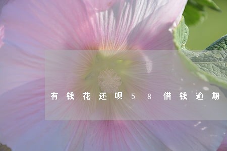 有钱花还呗58借钱逾期怎么办 有钱花还呗58借钱逾期怎么办