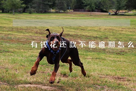 有钱花还款不能逾期怎么办 有钱花还款不能逾期怎么办