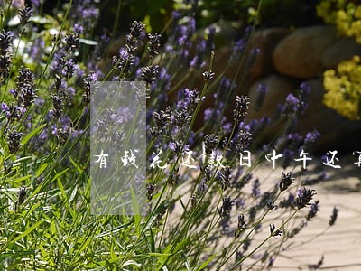 有钱花还款日中午还算逾期吗 有钱花还款日中午还算逾期吗