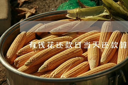 有钱花还款日当天还款算逾期 有钱花还款日当天还款算逾期