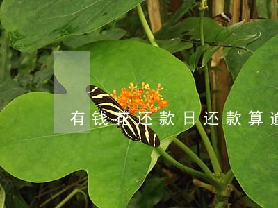 有钱花还款日还款算逾期吗 有钱花还款日还款算逾期吗