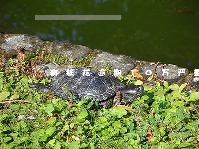有钱花逾期10万严重吗 有钱花逾期10万严重吗