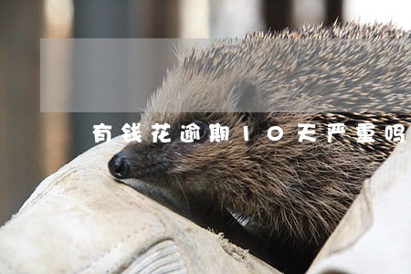 有钱花逾期10天严重吗 有钱花逾期10天严重吗