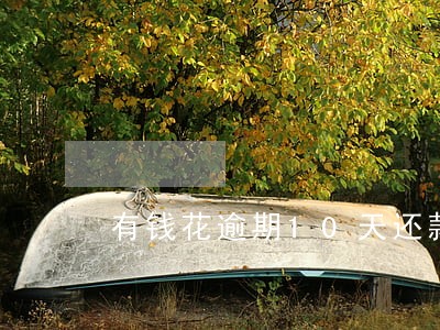 有钱花逾期10天还款 有钱花逾期10天还款