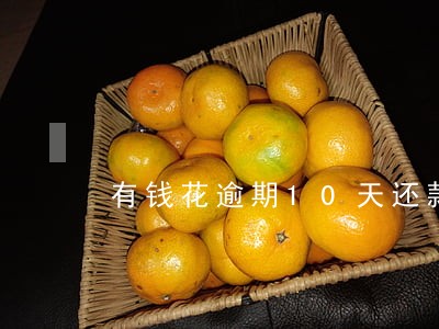 有钱花逾期10天还款会怎么样 有钱花逾期10天还款会怎么样