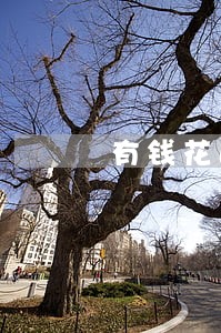 有钱花逾期11天三千块 有钱花逾期11天三千块