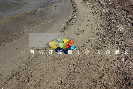 有钱花逾期12天会怎么样 有钱花逾期12天会怎么样