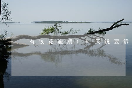 有钱花逾期15天说要诉讼 有钱花逾期15天说要诉讼